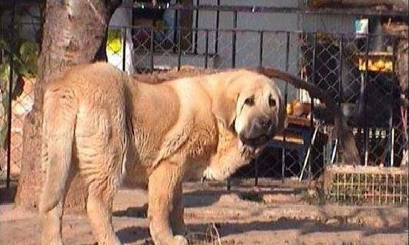 imagen 9 e1712778269571